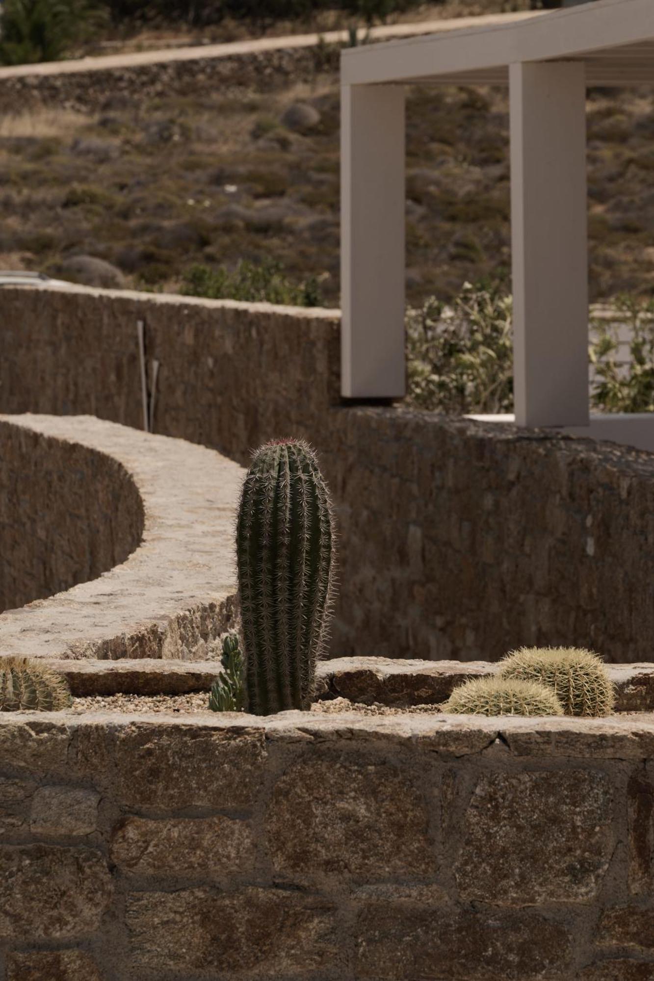 Yi Hotel Mykonos Elia  Exteriér fotografie